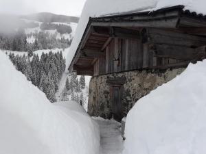 Chalet Ursteinhütte