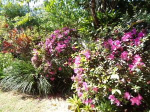 Pousada Arte de Viver