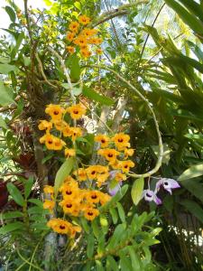 Pousada Arte de Viver