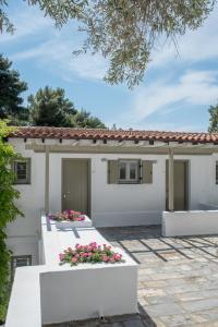 Skiathos Holidays Skiathos Greece