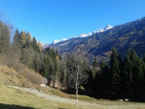 Chalet Immerso nel Verde