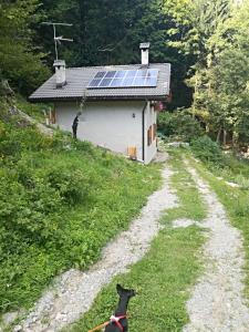 Chalet Immerso nel Verde