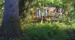 Camping House Aivari