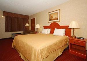 King Room - Smoking  room in Quality Inn Petersburg-Fort Lee