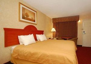 King Room - Non-Smoking room in Quality Inn Petersburg-Fort Lee