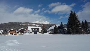Ferienwohnung Laßhofer