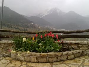 Rizoma Guesthouse Euritania Greece