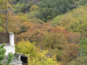 Koukourava Garden Pelion Greece