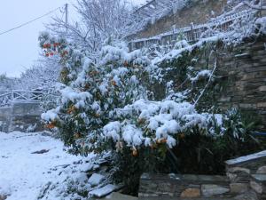 Koukourava Garden Pelion Greece