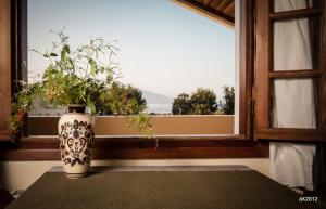 Staggia Studios Kefalloniá Greece