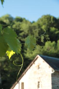 B&B / Chambres d'hotes Moulin des Borderies : photos des chambres