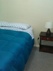 Departamento Volcán Corcovado