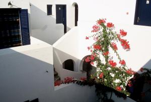 San Antonio Summer House Paros Greece