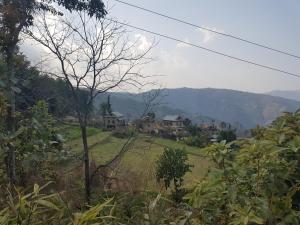 Patlekhet Community Homestay