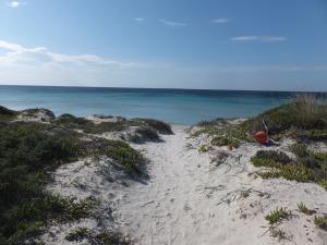 Appartamento Con Terrazza Sul Mare img29