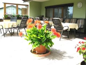 Gästehaus Steininger - 弗劳埃瑙