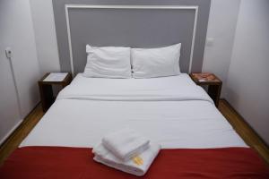 Hotels Hotel Le Stanislas : photos des chambres