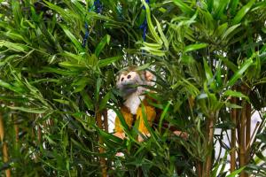 Smart Russell Square