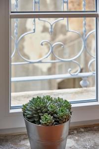 Modern Apartment Bica dos Olhos