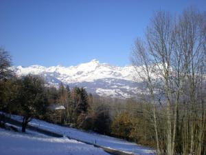 Chalets Le Caribou : photos des chambres