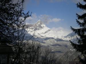 Chalets Le Caribou : photos des chambres