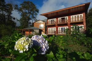 Hotel Bosque Verde Lodge