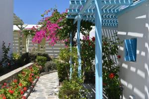 Surfing Beach Village Paros Paros Greece