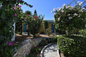 Surfing Beach Village Paros Paros Greece