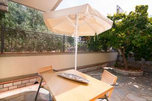 Albatros Studios Thassos Greece
