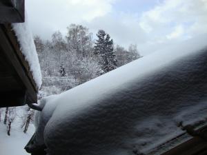 Chalets Le Manege Est : photos des chambres