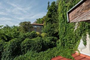 Appartements Sur les hauteurs du Vieux Lyon : photos des chambres