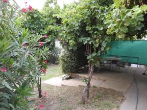 La Loberia - Las Grutas