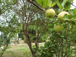 La Loberia - Las Grutas