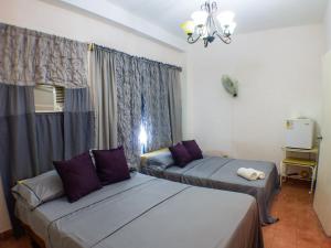 Marjorie Homestay