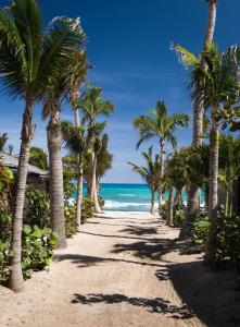 Anse des Cayes, 97133 Saint Barthélemy.