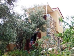 Gera's Olive Grove - Elaionas tis Geras Lesvos Greece