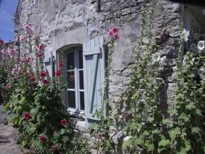 Maisons de vacances Maison Marceane : photos des chambres