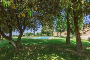 Ormanni nel Chianti Classico