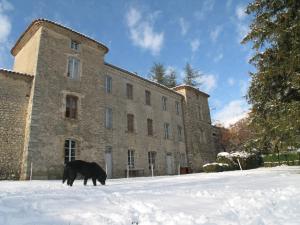 B&B / Chambres d'hotes Chateau de Montfroc : photos des chambres