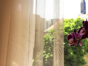 Dove Budapest | Apartment