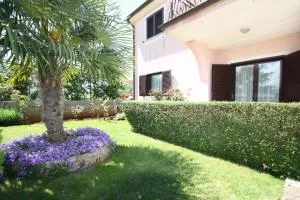 Apartments Katica - Gedići