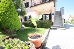 Apartments Katica 