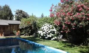 Puerta del Sol Molina B&B - Lontué