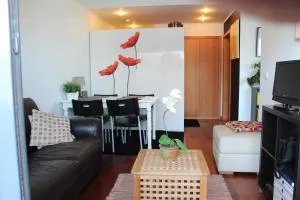 Penthouse City Center apartment - 蓬塔德尔加达