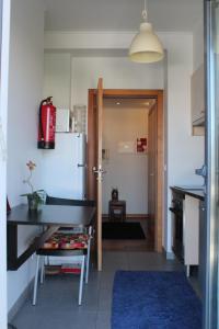 Penthouse City Center apartment