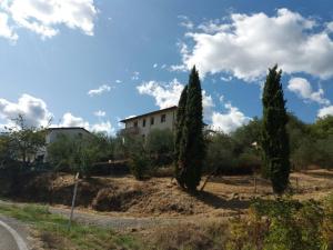 Penzion B&B L'uliveto sul Chianti Cavriglia Itálie