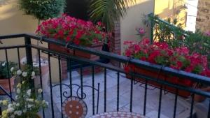 Suite Junior avec Terrasse