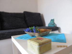 Charming apartments with garden