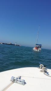 Appartements Les jardins de Veronique Marie : Appartement Supérieur