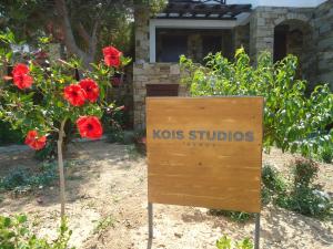 Kois Studios Syros Greece